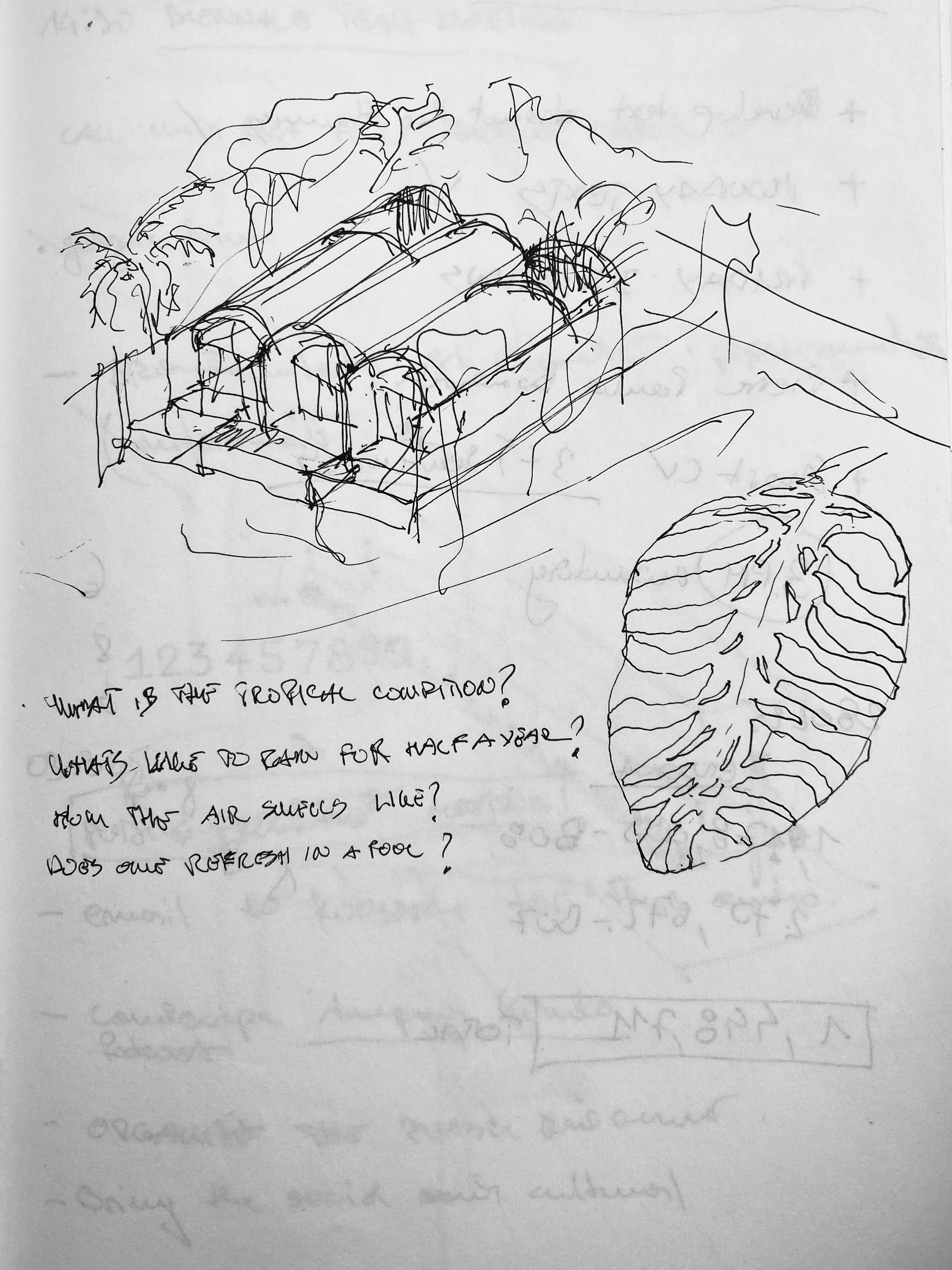background image of a sketch